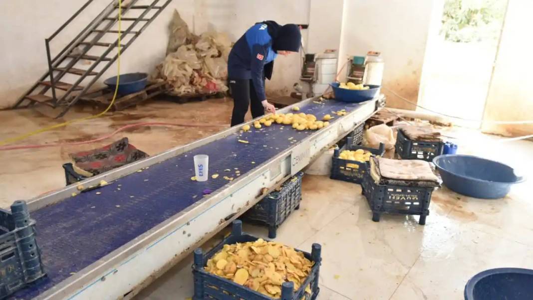 Burası Hindistan Değil Kepez! Bize Ne Yedirmişler? 3